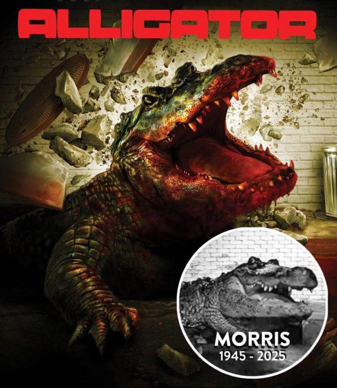 Death of Morris the Alligator: Remembering "Alligator" (1980)