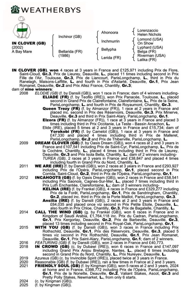 Death of Renowned Broodmare In Clover at 23, A Great Loss