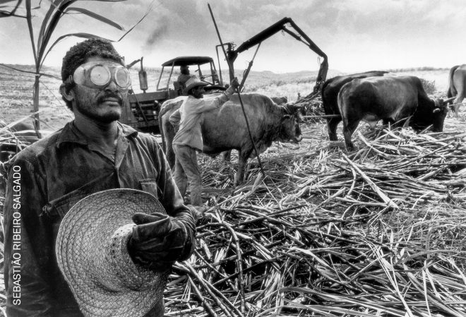 Death of Renowned Photographer Sebastião Salgado Shocks Many