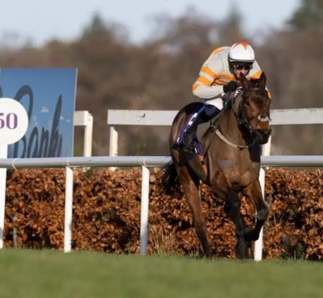 Death of Shewearsitwell: A Classy Champion Mare Remembered