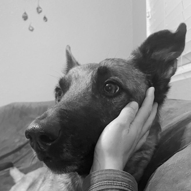Death of Sweet Nova: A Hero K9 Abandoned and Loved