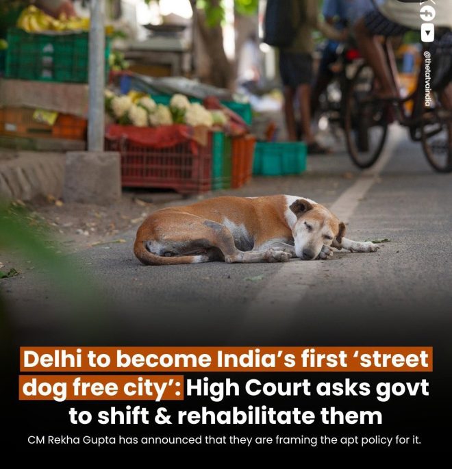 Delhi's Streets: A New Era of Safety or Just a Temporary Illusion? — safe Delhi streets, Delhi safety improvements 2025, urban safety initiatives Delhi