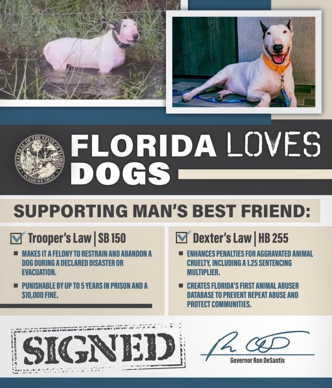 Florida's Bold Move: Trooper's Law & Dexter's Law Signed Today! — animal welfare legislation, Florida pet protection laws, support for canine rights 2025
