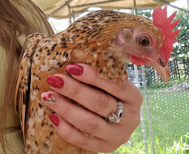 Heartbreaking Death of Our Sweet Emily: Coco Helps Me Cope