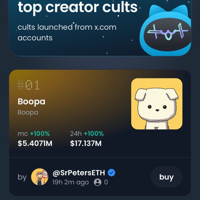 JUST IN: Boopdotfun Founder Shocks World with $BOOPA Acquisition!