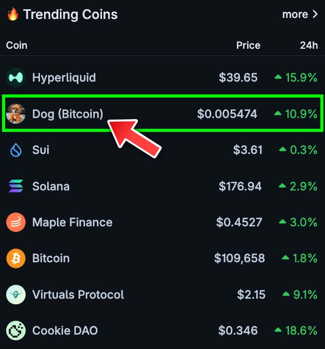 🚨JUST IN: $DOG Surges to 2nd Trending Coin—Is Bitcoin Losing Its Edge? — Trending Cryptocurrency News, Top Altcoins to Watch 2025, Bitcoin Market Analysis