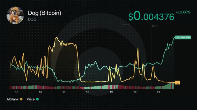 🚨JUST IN: Is $DOG's Rise the Future of Crypto or a Bubble? — cryptocurrency market analysis, top altcoins 2025, social media metrics crypto
