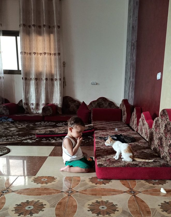 "Omar and his cat, survivors of genocide, brutally killed by Israel: Shocking new details emerge" — Omar tragedy, feline companion, tragic loss
Genocide survivors, heartbreaking news, Israeli attack
Loss of life, tragic event, heartbreaking outcome