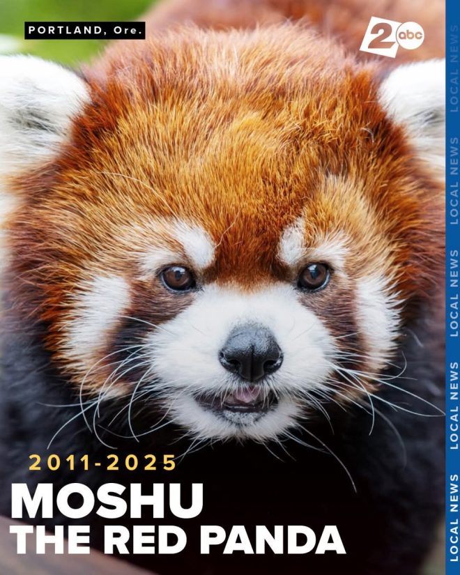 Sad Death News: Moshu Passed Away at Portland Zoo 😢🙏