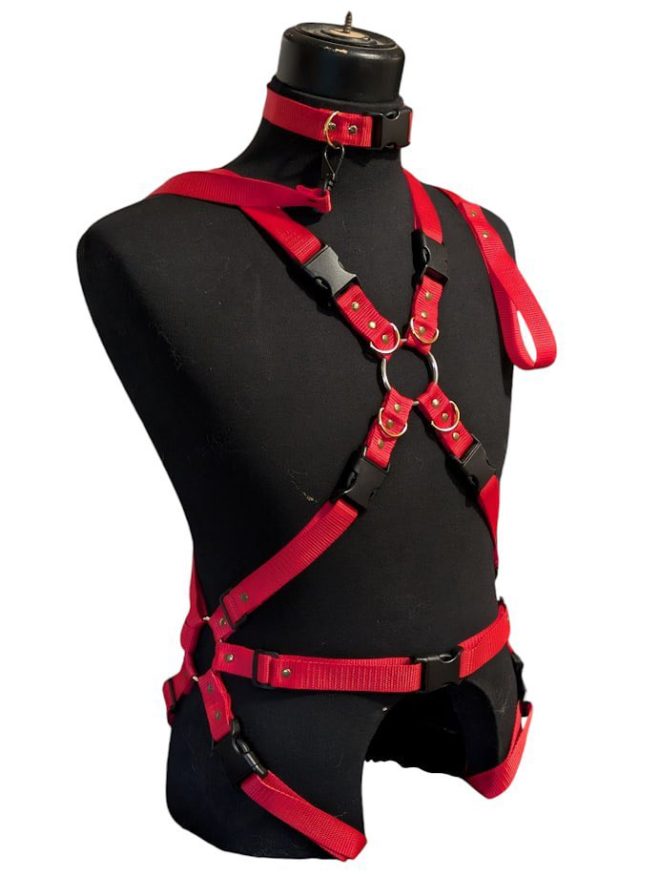 Shocking Giveaway: Win a Full-Body Harness! Are You In? — full body harness giveaway, win a harness, enter to win full body gear