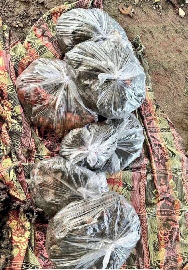 Shocking Revelation: Are These Bags the Remains of Innocence? — Palestinian tragedy, children of conflict, legacy of lost innocence