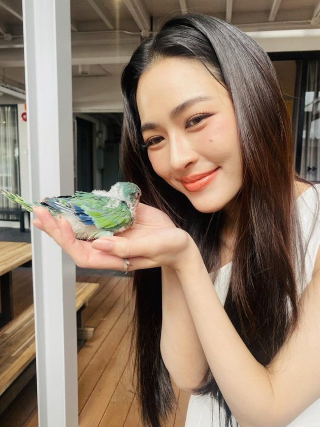 Shocking Twist: Orm's 23rd Birthday Celebration Takes Flight!
Unveiling the Secrets Behind อาบู&อาหลิง's Viral Moment! — อาบู🐥, อาหลิง💖, วันเกิดออร์ม2025