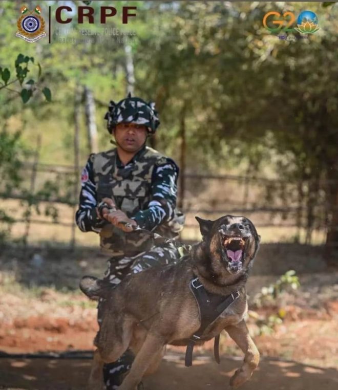 Silence or Strength? CRPF's Bold Stand Amidst War Rumors!