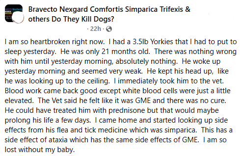 Tragic Death: 21-Month-Old Yorkie Passes from Simparica