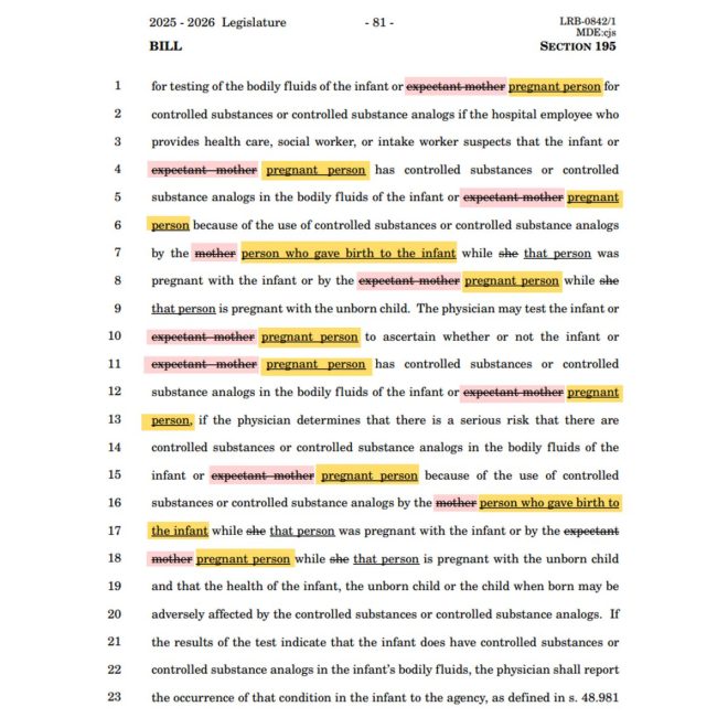 Wisconsin's Woke Bill: Is Motherhood Being Erased for Good? — woke family policies, gender-neutral parenting legislation, Wisconsin equality bill 2025
