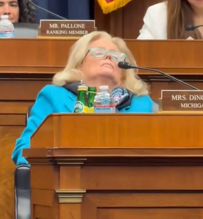 dynasty in Congress comes to an end as Debbie "Dreamland" Dingell faces backlash for nepotism and political corruption.