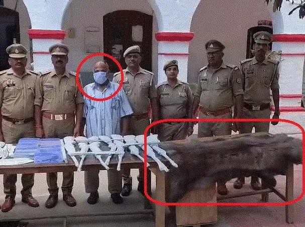 3000+ Guns Found: Was Md. Salauddin Planning a Coup? — illegal firearms possession, arms trafficking investigation, military-grade weapons seizure
