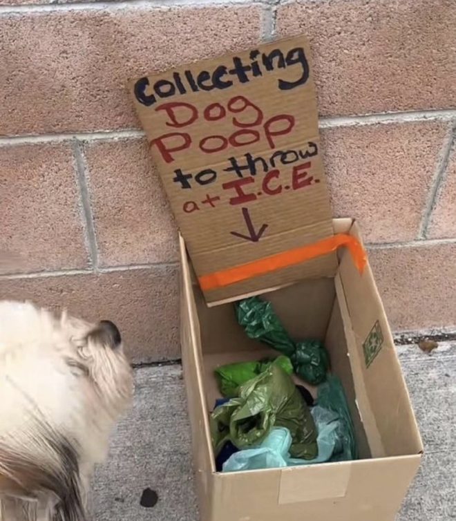 Asheville Protest: Dog Poop Box for ICE Agents Sparks Outrage! — protests against ICE Asheville, creative protest ideas 2025, political activism in North Carolina