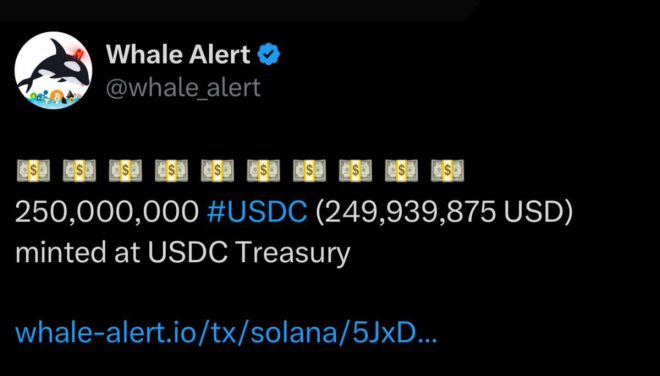🚨 BREAKING: $250M USDC Minted! Whales Set to Explode Market? — crypto news update, whale market trends, USDC minting surge