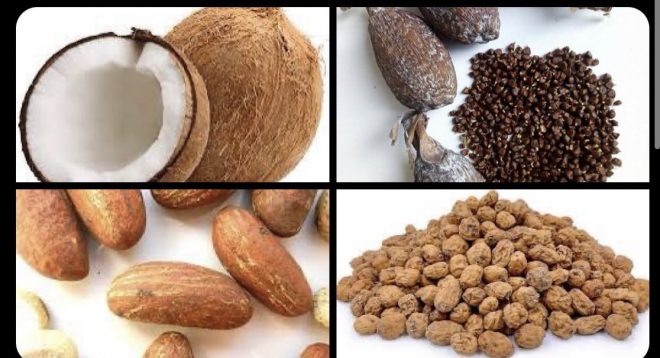 Bitter Kola: Nature's Controversial Viagra? — Bitter kola for erectile dysfunction, Natural alternatives to sildenafil, PDE-5 inhibitors in herbal medicine