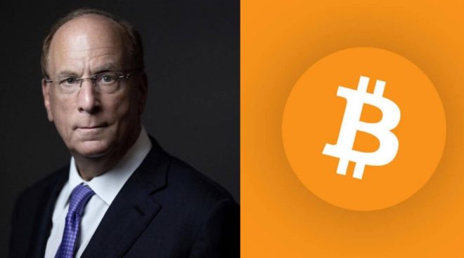 BlackRock’s Bitcoin Hoard: A Threat to Crypto’s Future? — BlackRock Bitcoin investment, Crypto institutional adoption, Bitcoin market dominance 2025