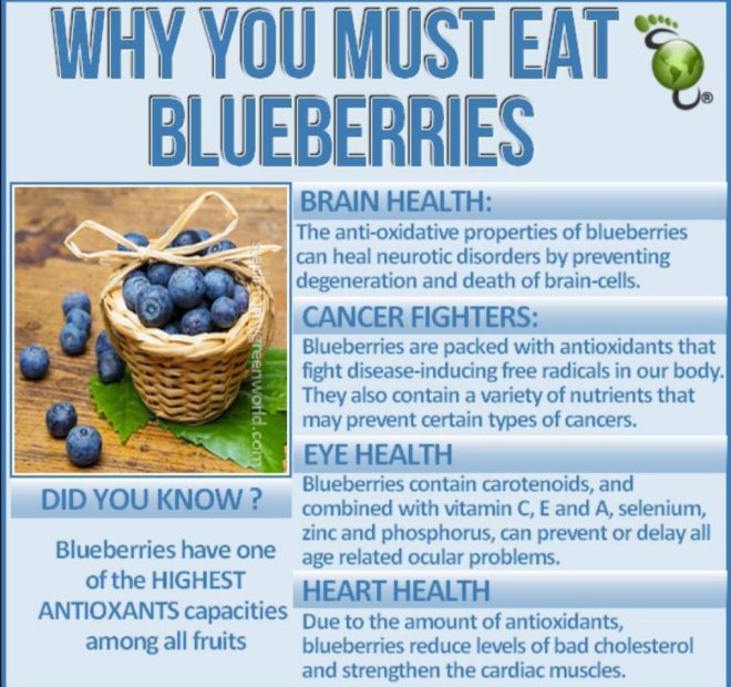 "Blueberries: Miracle Fruit or Overhyped Superfood? The Truth Behind Their Health Benefits Revealed!" —  blueberry nutrition benefits, antioxidant-rich superfoods, cognitive health superfoods