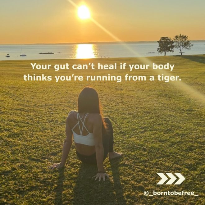 Break Free: Is Modern Life Killing Your Rhythm? — Mindful Harmony, Nature's Balance 2025, Holistic Lifestyle Transformation