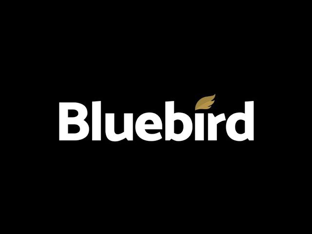 Breaking: Bluebird Mining Goes All-In on Bitcoin! 🚀 — Bitcoin treasury strategy, gold mining revenue conversion, cryptocurrency investment 2025