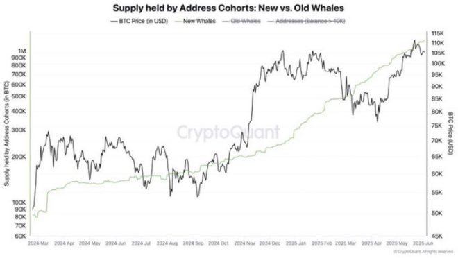 Breaking: Whales Hoard Bitcoin - A New Financial Revolution? — Crypto Whales Invest in Bitcoin 2025, Large Investors Accumulating Bitcoin Now, Bitcoin Price Surge Driven by Whale Activity