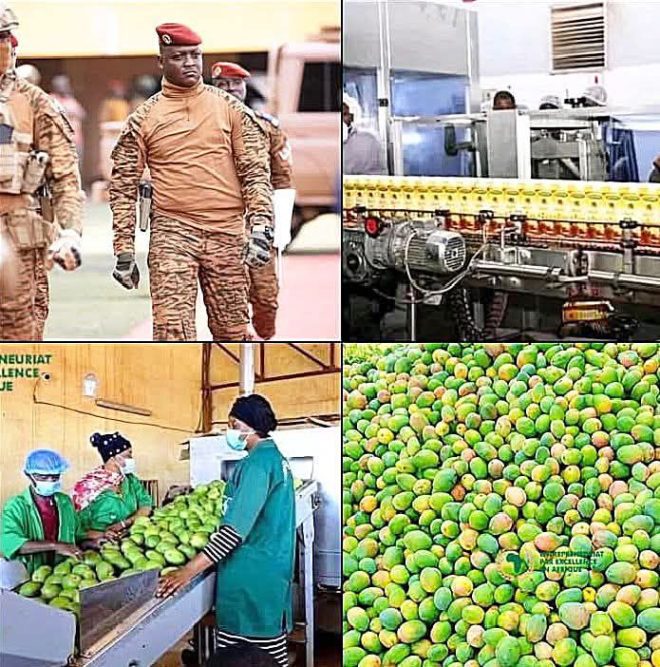 Burkina Faso Chooses Juice: A Toast to Health? — sustainable beverage market Africa, organic drink innovations Burkina Faso, local fruit processing jobs 2025