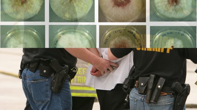 Chinese Researchers Arrested: Deadly Fungus Smuggled! — biosecurity breach 2025, fungal disease outbreak, agricultural biohazard threat