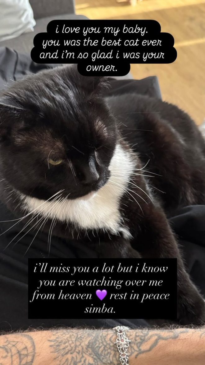 Death of Balarke's Beloved Cat Simba: RIP đź–¤