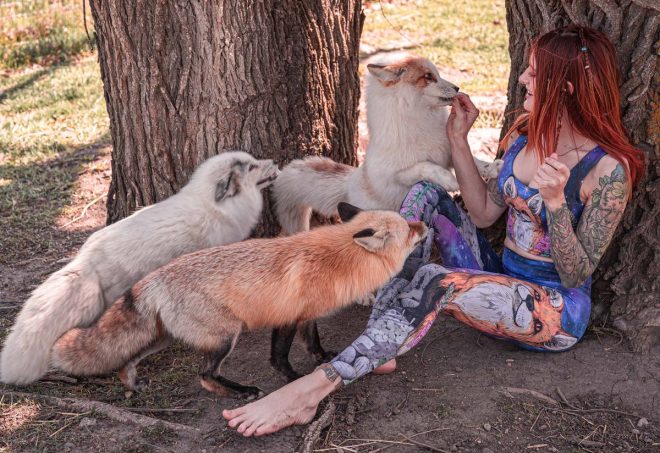 Death of Mikayla Raines: A Heartbreaking Loss for SaveAFox 😢