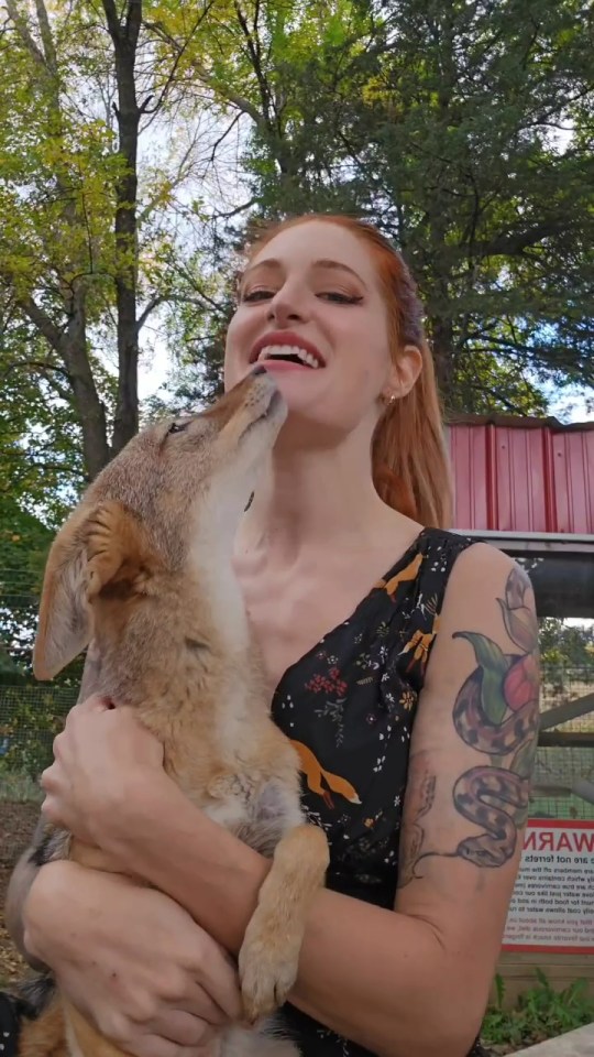 Death of Mikayla Raines, Founder of SaveAFox, Shocks Community