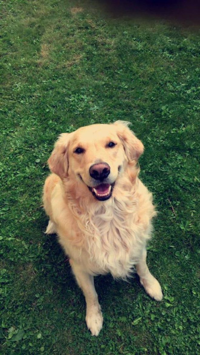 Death of My Best Friend Moos: A Heartfelt Goodbye