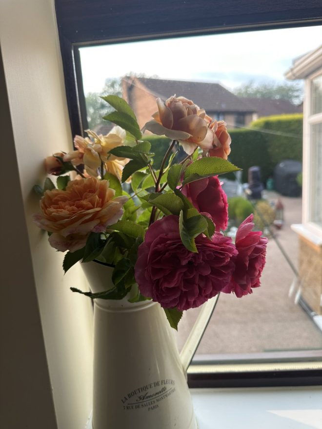 Death of My Parents Honored with Kathleen and Walter Roses