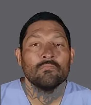 Democrat Arrested for Attempted Arson on ICE Agents! — Democrat arrested Los Angeles, ICE agents hotel attack, Molotov cocktail incident 2025