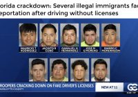 Florida's Illegals Face Deportation After License Crackdown! —  illegal immigration Florida, unlicensed drivers deportation, Florida immigration enforcement 2025