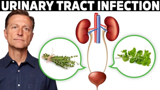 Forget Cranberries: This UTI Remedy Shocks Experts! —  Effective UTI Herbal Solutions, Natural Antibiotics for UTI Relief, Essential Oils for Urinary Health