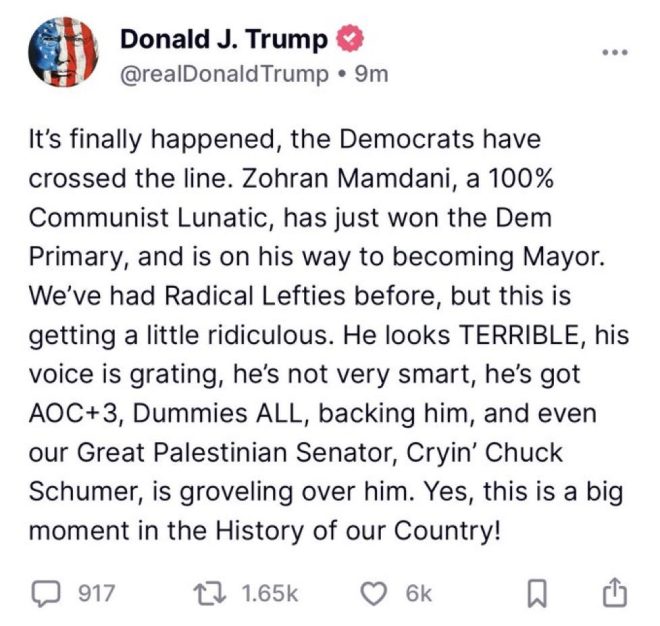 Global Conspiracy: GOP, Trump, & Allies Target NYC Politician! — foreign interference in US elections, political smear campaigns 2025, democracy under attack in New York
