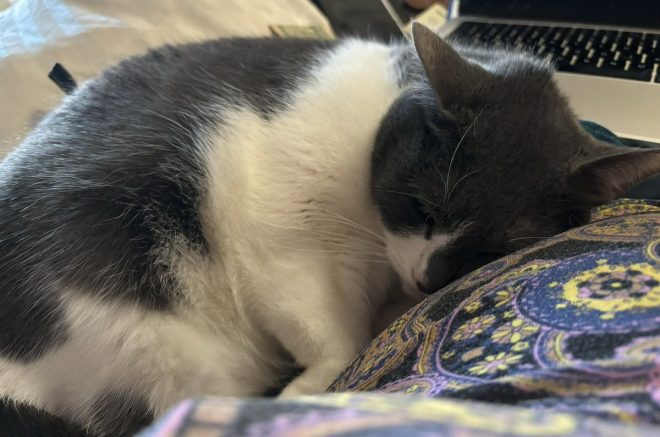 Heartbreaking Death: Pearl Follows Brother in Tragic Loss
