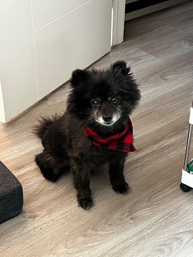 Heartbreaking Death of My Beloved Bear After Long Illness