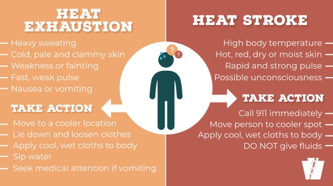 Heat Exhaustion or Stroke? Know the Shocking Signs! —  heat-related illnesses, signs of heat exhaustion vs heat stroke, understanding heat stress symptoms 2025