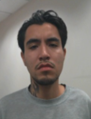 Illegal Alien Arrested: Molotov Attack Sparks Outrage! — ICE arrests in Los Angeles, Molotov cocktail attack Los Angeles, illegal immigrant crime 2025