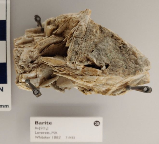 Is Barium the Key to Unlocking Superior Health? — Barium health benefits, Barite mineral uses, Barium imaging guidelines 2025