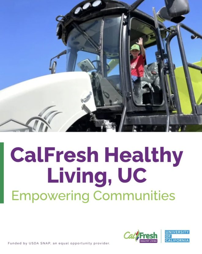 Is Rice the Key to Healthier Kids' Futures? — "Nutrition Education for Kids," "Farm-to-Table Initiatives for Children," "Healthy Eating Strategies for Families"