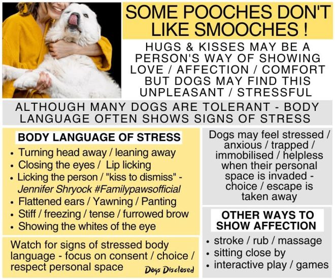 Is Your Love for Dogs Doing More Harm Than Good? — Respect canine boundaries, understanding dog behavior, building trust with pets