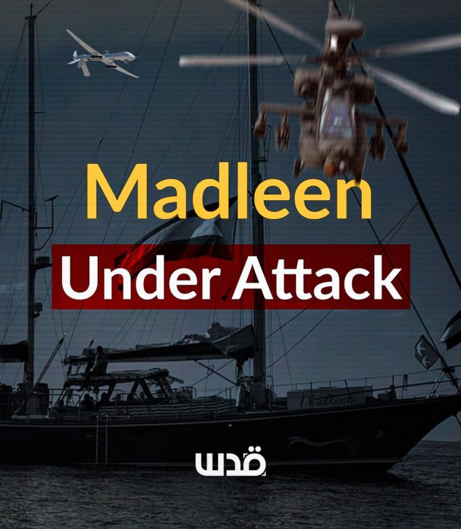 Israeli Navy to Interrogate Activists: Who Are They Really? — Israeli Navy base news, military interrogation updates, Ashdod port operations