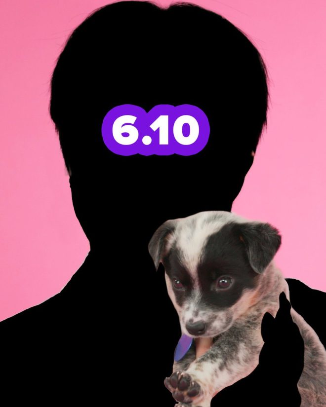 JIN's Puppy Interview: Can Buzzfeed Hit 4M Subs? —  Jin Buzzfeed interview, viral puppy videos, BTS news 2025