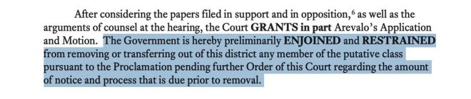 Judge Shocks Nation: Trump-Appointed Ruling Defies Deportation! —  Trump judge immigration ruling, Venezuelan deportation case, Alien Enemies Act decision 2025